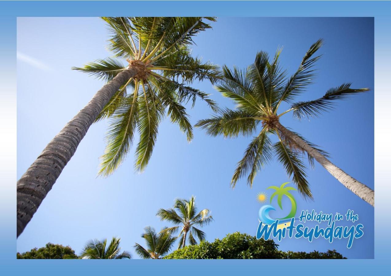 Ocean Views 16 Pool & Spa Wi-Fi Airlie Beach Esterno foto